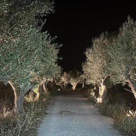 Pirgos Petropoulea 빌라 *