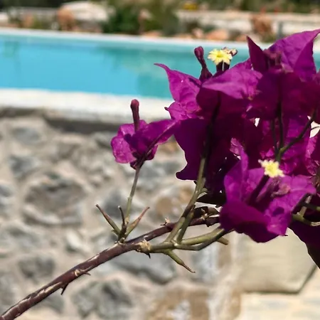 빌라 Pirgos Petropoulea *