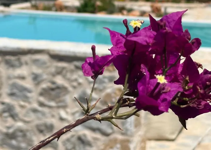 Вилла Pirgos Petropoulea *